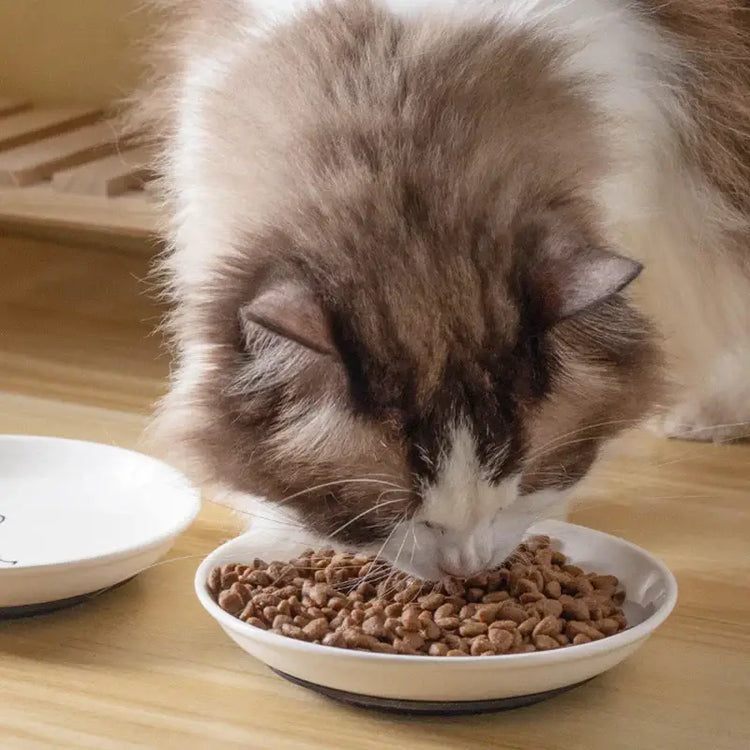 Ceramic Cat Plates With Silicone Anti Slip Pad Pet Cat Snack Bowl Cute Kitten Food Bowl Pet Kitten Water Bowl Pet