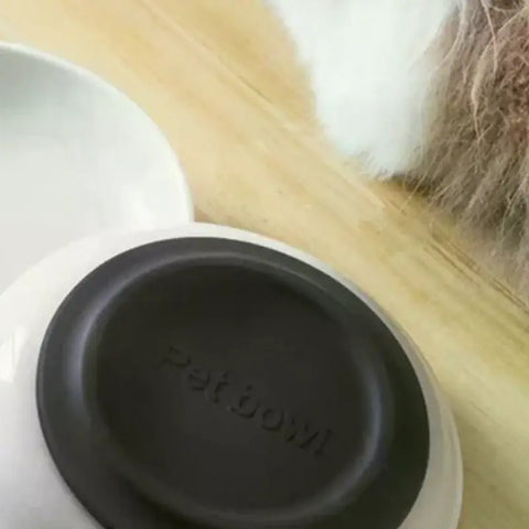Ceramic Cat Plates With Silicone Anti Slip Pad Pet Cat Snack Bowl Cute Kitten Food Bowl Pet Kitten Water Bowl Pet