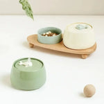 Ceramic Water Fountain Cat Charging Pet Water Feeders Dogs Automatic Circulating Filtration Flow Water Dispenser Cat