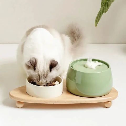 Ceramic Water Fountain Cat Charging Pet Water Feeders Dogs Automatic Circulating Filtration Flow Water Dispenser Cat