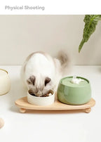 Ceramic Water Fountain Cat Charging Pet Water Feeders Dogs Automatic Circulating Filtration Flow Water Dispenser Cat