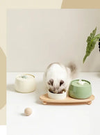 Ceramic Water Fountain Cat Charging Pet Water Feeders Dogs Automatic Circulating Filtration Flow Water Dispenser Cat