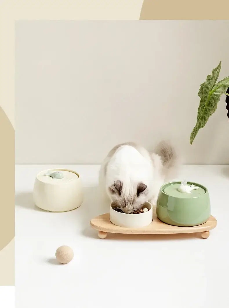 Ceramic Water Fountain Cat Charging Pet Water Feeders Dogs Automatic Circulating Filtration Flow Water Dispenser Cat
