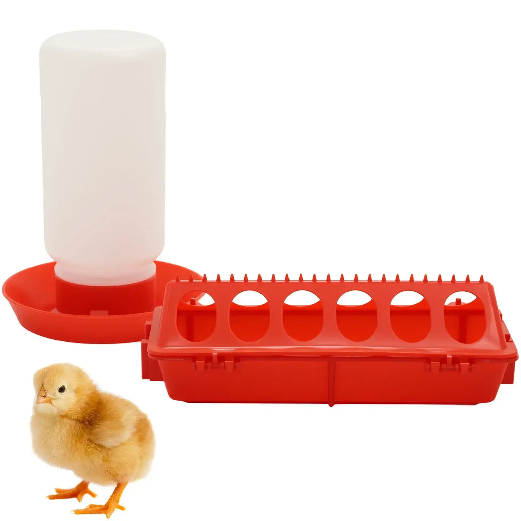 Chicken Feeder Automatic Water Feeder For Chicks Quails Chicks Feed Box Automatic Feeder Small Automatic Water