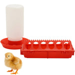 Chicken Feeder Automatic Water Feeder For Chicks Quails Chicks Feed Box Automatic Feeder Small Automatic Water
