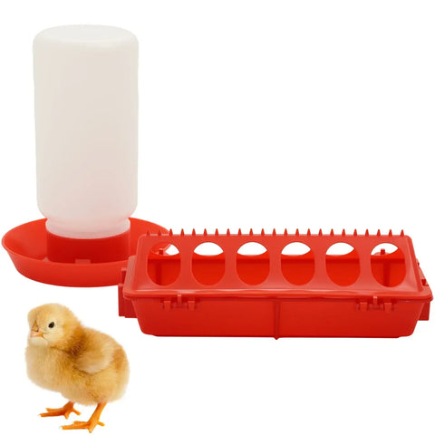 Chicken Feeder Automatic Water Feeder For Chicks Quails Chicks Feed Box Automatic Feeder Small Automatic Water
