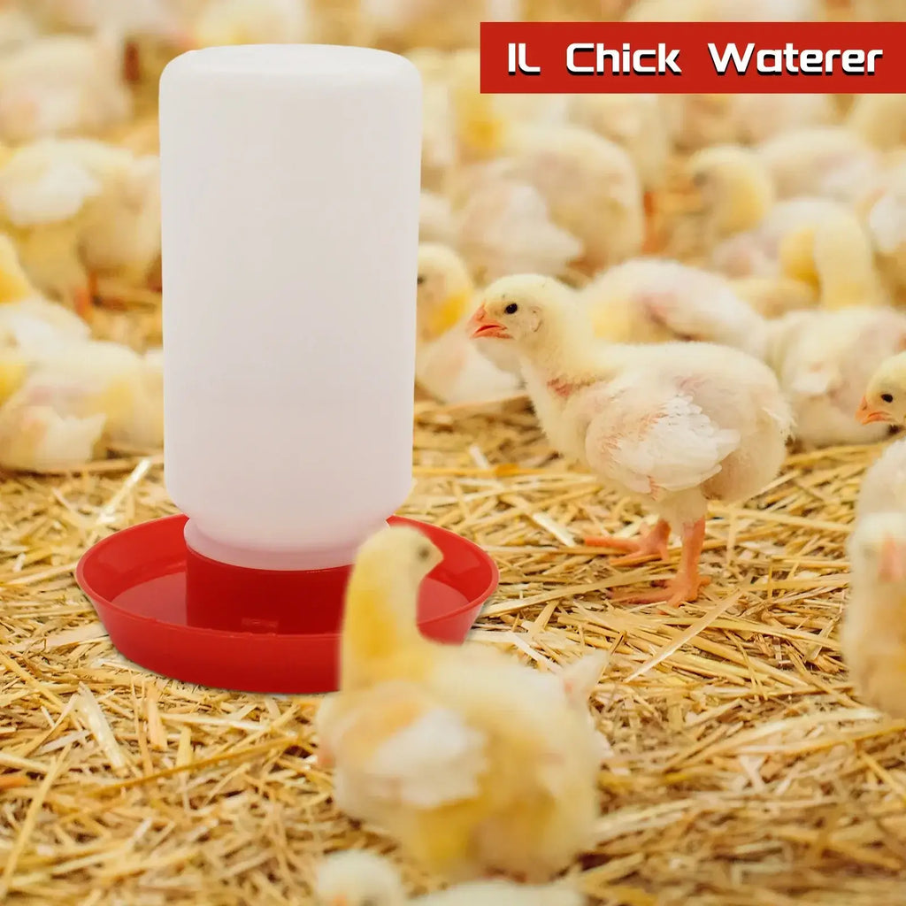 Chicken Feeder Automatic Water Feeder For Chicks Quails Chicks Feed Box Automatic Feeder Small Automatic Water Dispenser