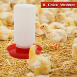 Chicken Feeder Automatic Water Feeder For Chicks Quails Chicks Feed Box Automatic Feeder Small Automatic Water Dispenser
