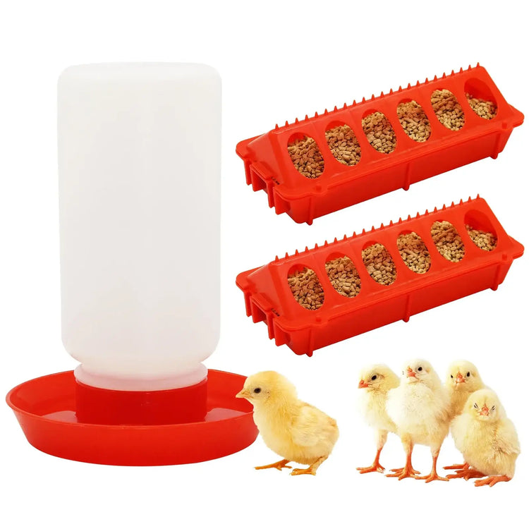 Chicken Feeder Automatic Water Feeder For Chicks Quails Chicks Feed Box Automatic Feeder Small Automatic Water