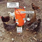 Chicken Feeder DIY Rainproof Poultry Feeder Port Reduce Spillage Food Farm Chicken Duck Food Hole Kit Troughs Opener