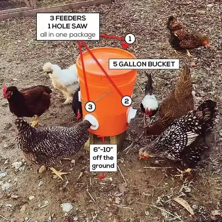 Chicken Feeder DIY Rainproof Poultry Feeder Port Reduce Spillage Food Farm Chicken Duck Food Hole Kit Troughs Opener
