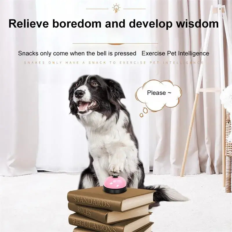 Cloche Dressage Chien – Jouet Interactif Chiot