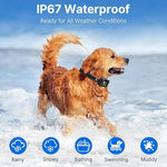 Clôture GPS pour animaux de compagnie et dispositif anti-aboiements - black