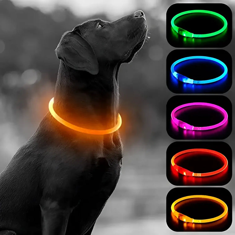 Led Luminous Dog Collar Light USB Charging Necklace Flashing DIY Glowing Safety Anti Lost Cat Dogs Collar Accessories