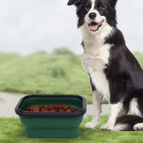 Collapsible Pet Bowl Foldable Travel Dog Bowl Portable Water Food Feeder Lightweight Outdoor Bowl for Small Medium