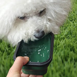 Collapsible Pet Bowl Foldable Travel Dog Bowl Portable Water Food Feeder Lightweight Outdoor Bowl for Small Medium