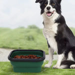 Collapsible Pet Bowl Foldable Travel Dog Bowl Portable Water Food Feeder Lightweight Outdoor Bowl for Small Medium