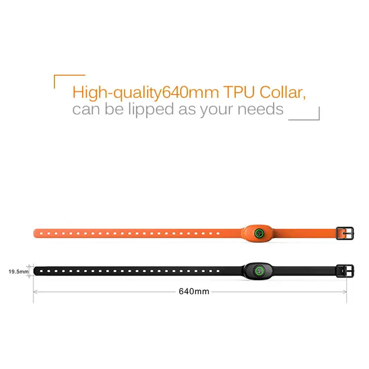 Collier anti-aboiement pour chien