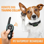 Collier anti-aboiement pour chien
