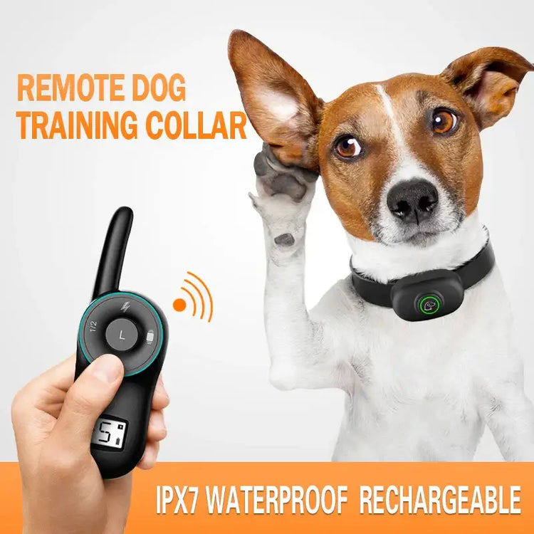 Collier anti-aboiement pour chien