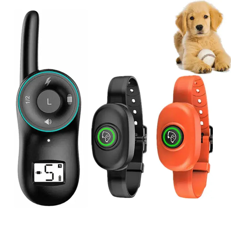 Collier anti-aboiement pour chien