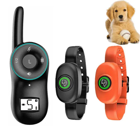 Collier anti-aboiement pour chien