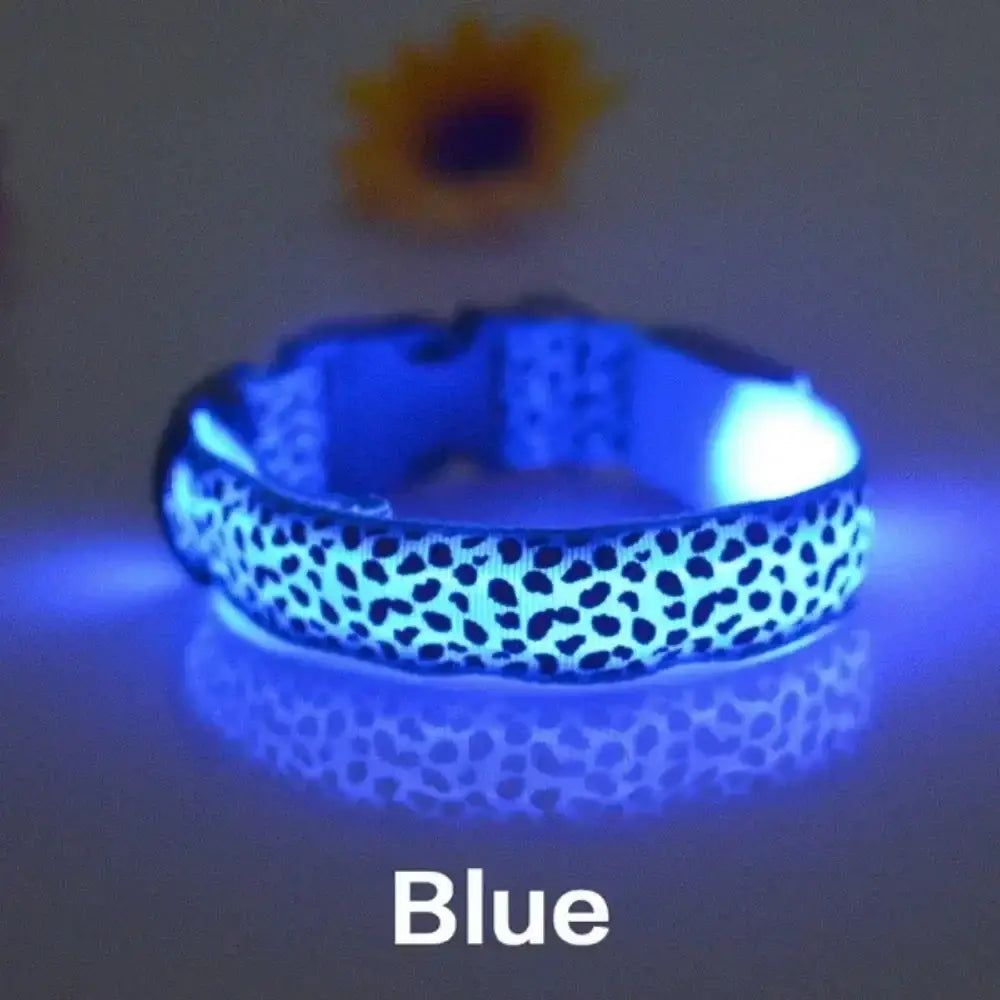 Collier anti-perte pour chien en nylon - Blue / XL