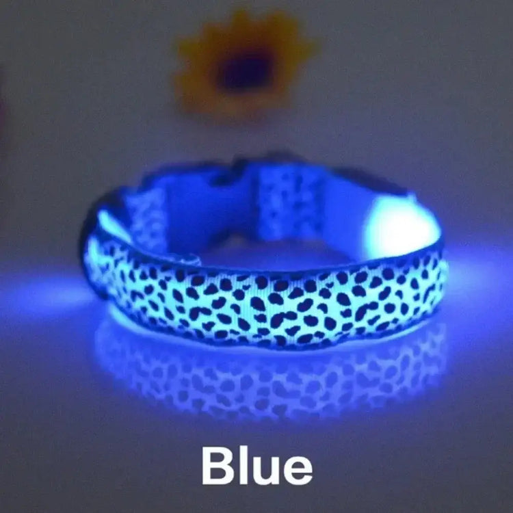 Collier anti-perte pour chien en nylon - Blue / XL