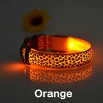 Collier anti-perte pour chien en nylon - Orange / XL