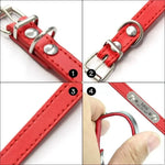 Collier confortable pour animaux de compagnie