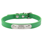 Collier confortable pour animaux de compagnie - Green / XS (22-27cm)
