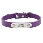 Collier confortable pour animaux de compagnie - Purple / XS (22-27cm)