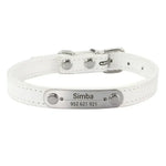 Collier confortable pour animaux de compagnie - White / XS (22-27cm)