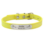 Collier confortable pour animaux de compagnie - Yellow / L(36-46cm)