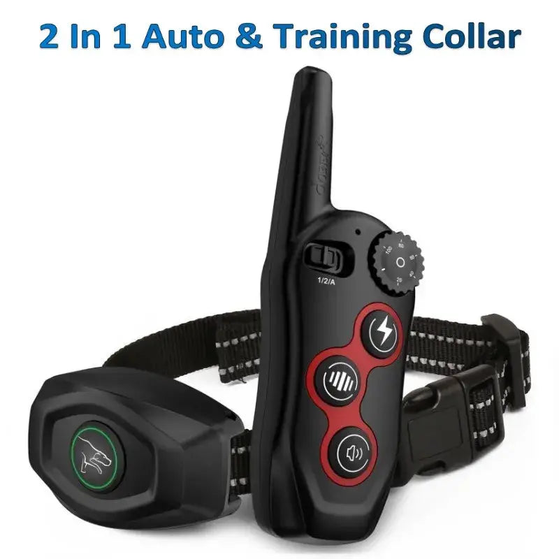 Collier de dressage 2 en 1 pour chien