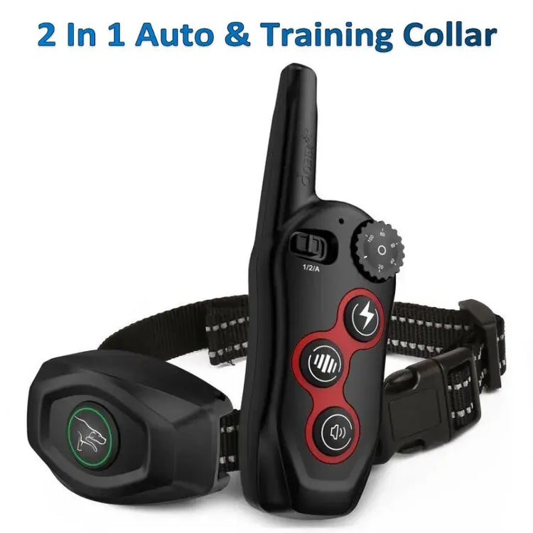 Collier de dressage 2 en 1 pour chien