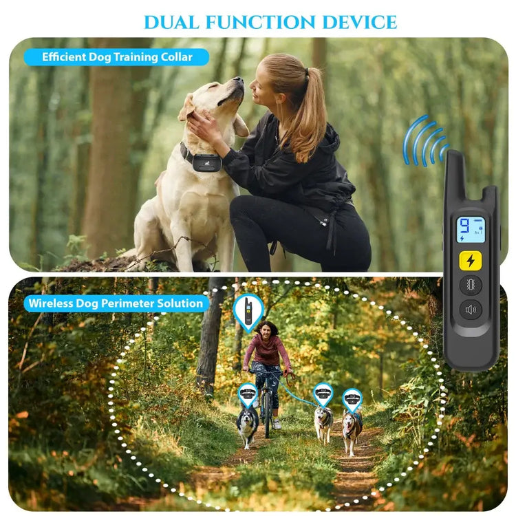 Collier de dressage à distance pour chien