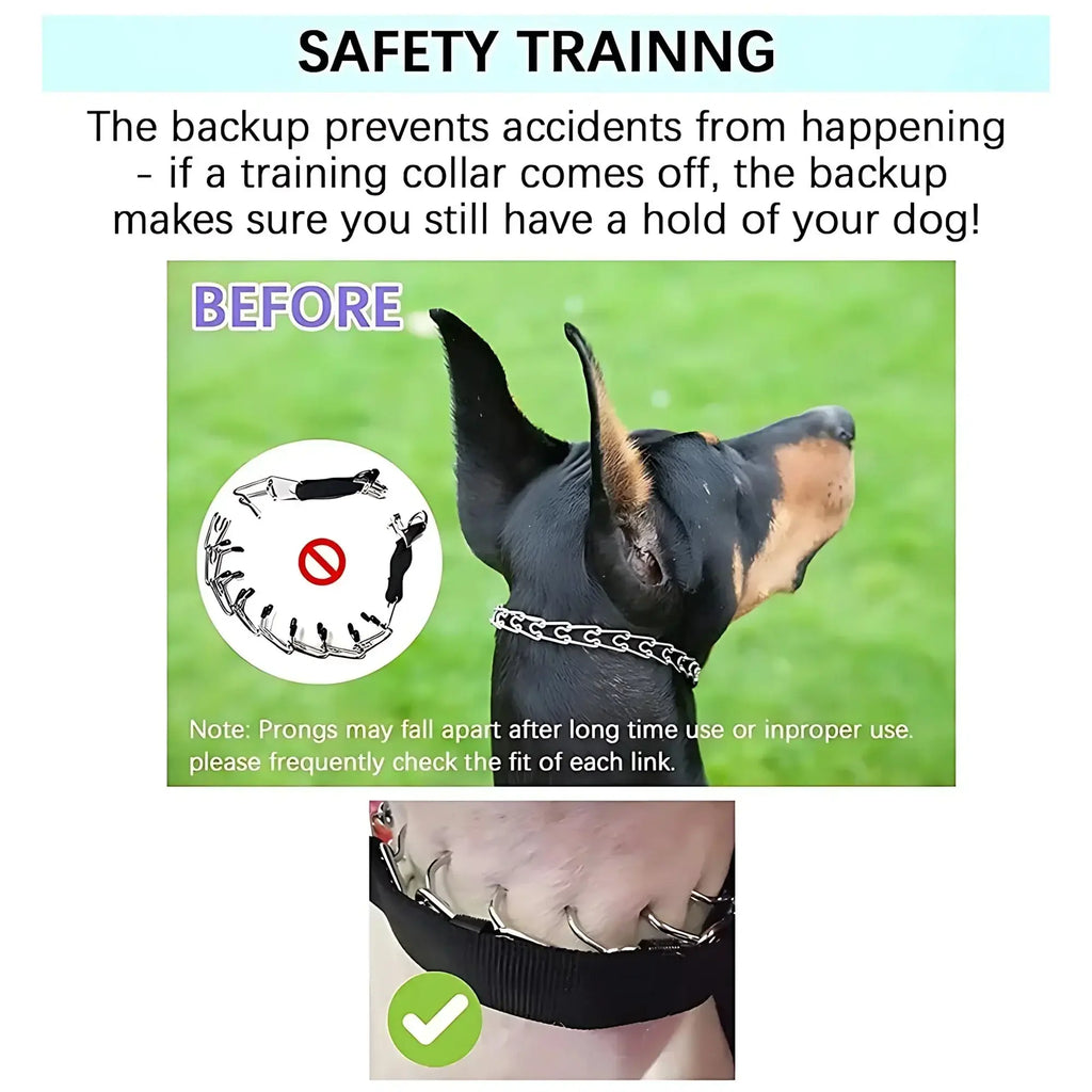 Collier de dressage à pointes pour chien