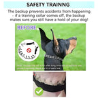 Collier de dressage à pointes pour chien