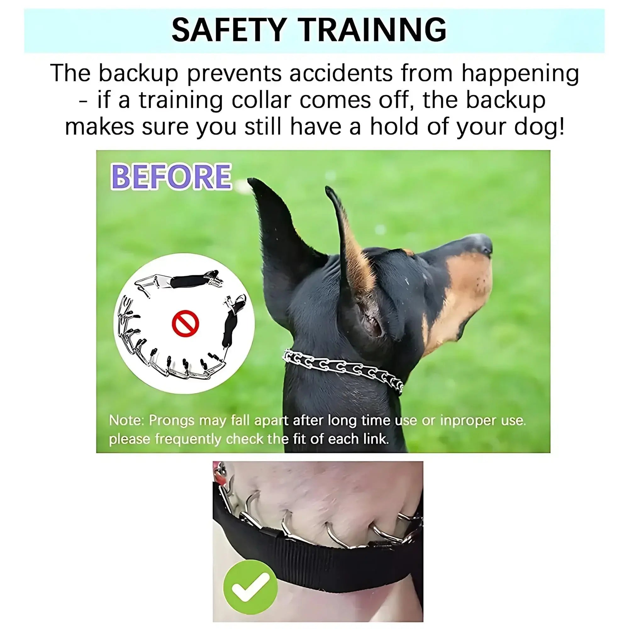 Collier de dressage à pointes pour chien
