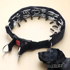 Collier de dressage à pointes pour chien