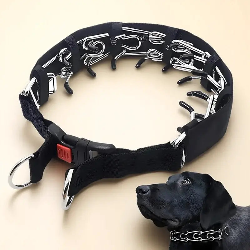 Collier de dressage à pointes pour chien