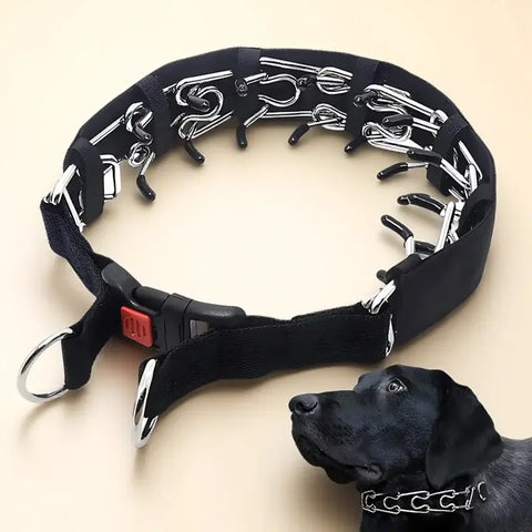 Collier de dressage à pointes pour chien