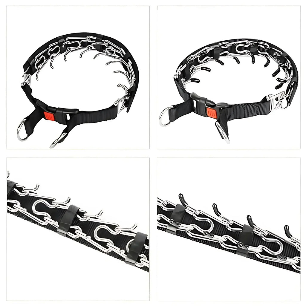 Collier de dressage à pointes pour chien