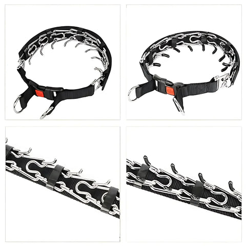 Collier de dressage à pointes pour chien