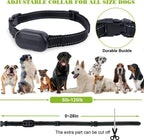 Collier de dressage étanche pour chiens