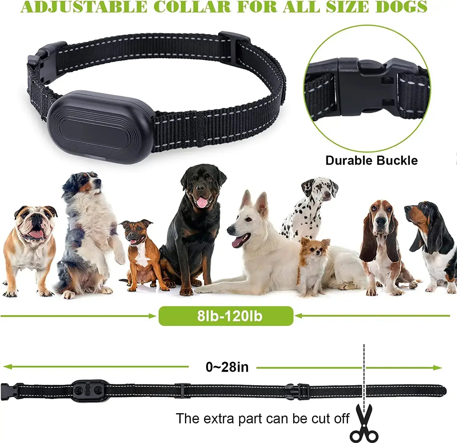 Collier de dressage étanche pour chiens