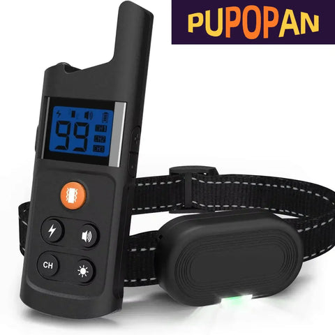 Collier de dressage étanche pour chiens