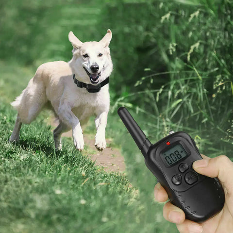 Collier de dressage intelligent pour chien avec télécommande - black