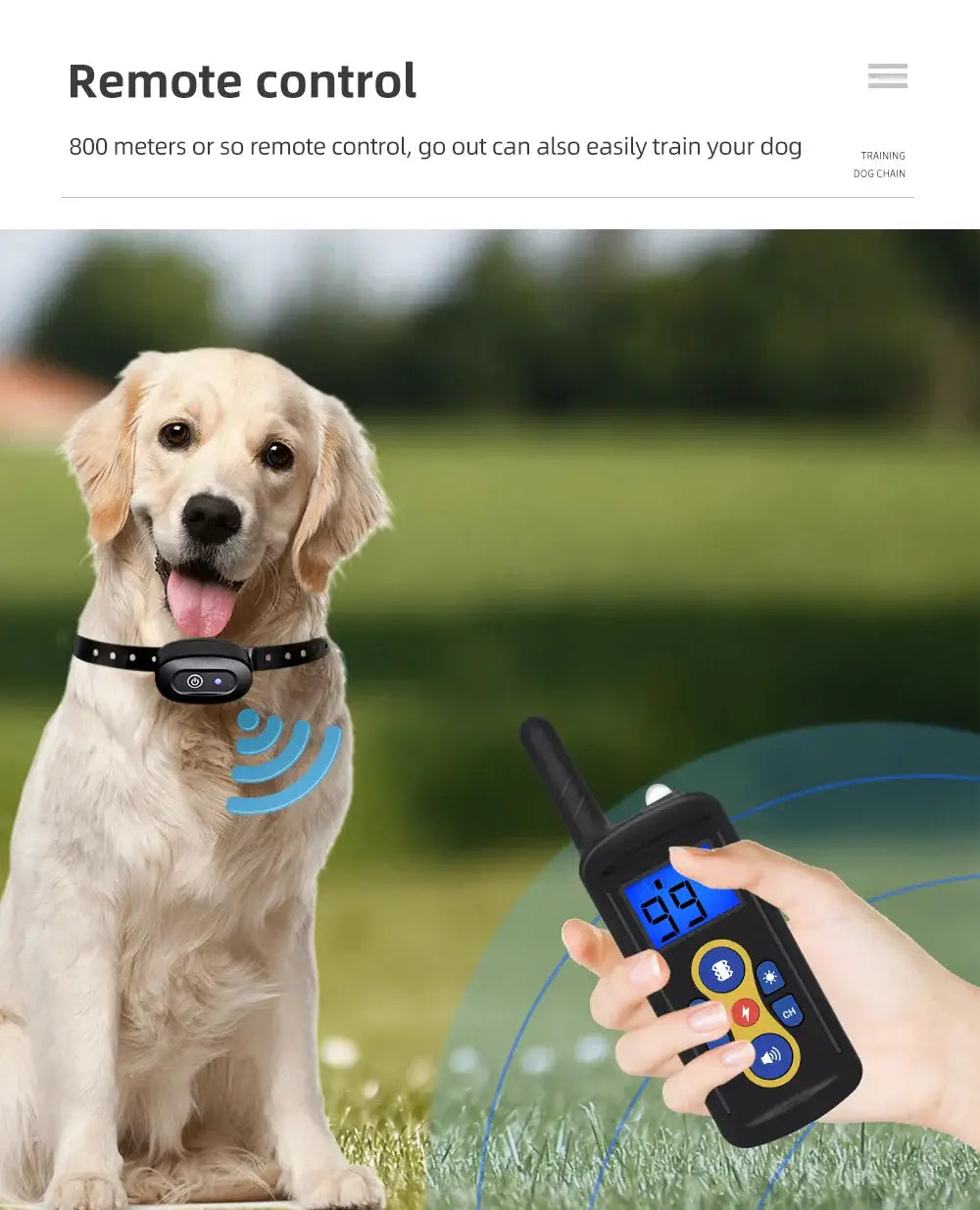Collier de dressage pour chien à télécommande